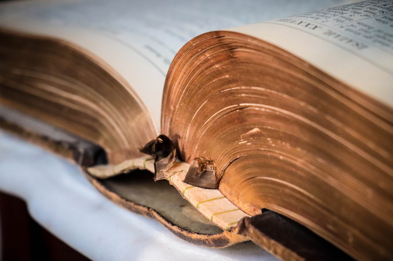 history, indoors, sacred, holy, 5K, mammal, nature, book, christian, publication, one animal, day, family bible, testament, close-up, ancient text, animal wildlife
