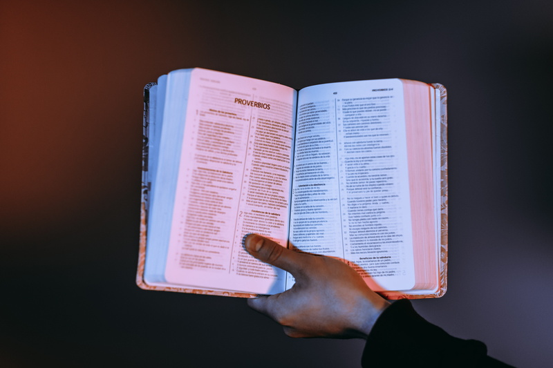 christianity, studying, paper, reading, body part, activity, new testament, education, human body part, person, one person, indoors, finger, learning, close-up