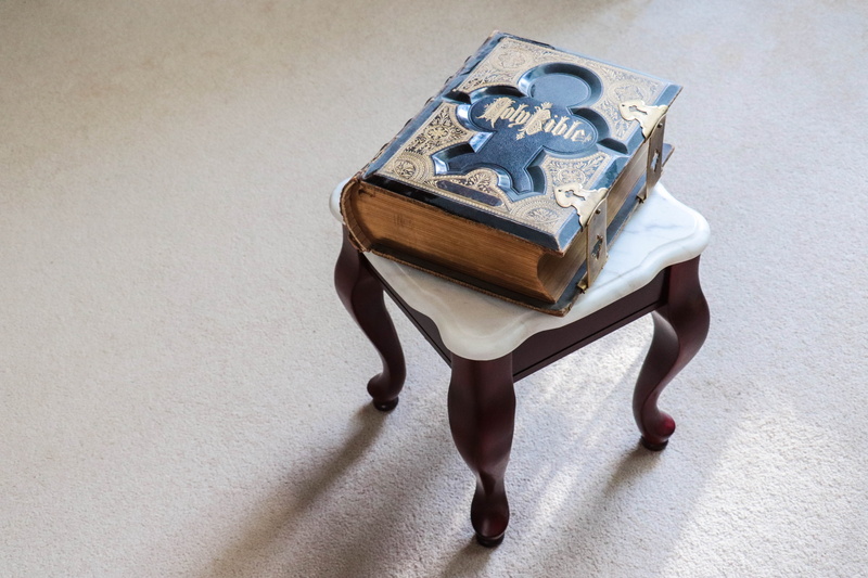 young adult, business, testament, carrying, wealth, sacred, old bible, women, luggage, one person, adult, indoors, ancient text, family bible, investment