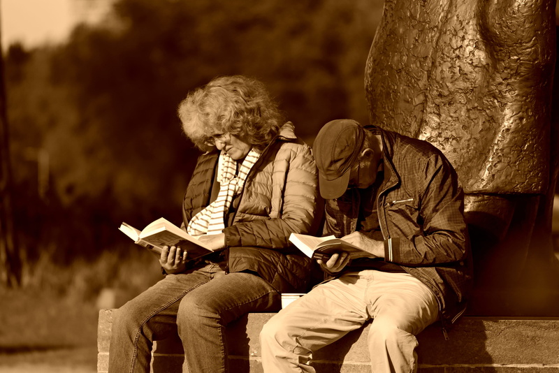 men, publication, reading, senior adult, two people, engrossed, woman, couple - relationship, sadness, 4K, contemplation, males, people, sitting, senior men