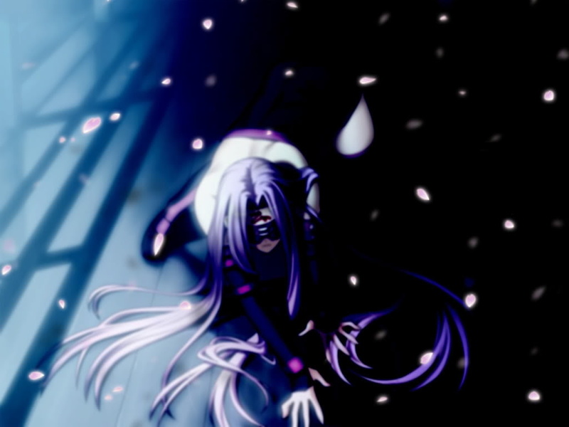 blossom, night, anime, stay, art, cherry blossom, 480P, rider, cherry, fate, fate stay night, hd