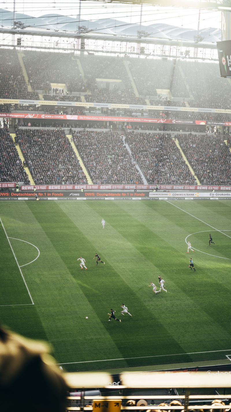 outdoors, football, spectator, grass, germany, playing field, commerzbank arena, photo, frankfurt am main, soccer, 5K, human, building, sport, sprint