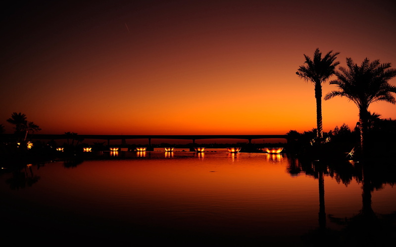 coastline, tree, sunset, travel Destinations, dusk, no People, idyllic, evening, palm Tree, tropical Climate, black, summer, water, palm trees, light, palm