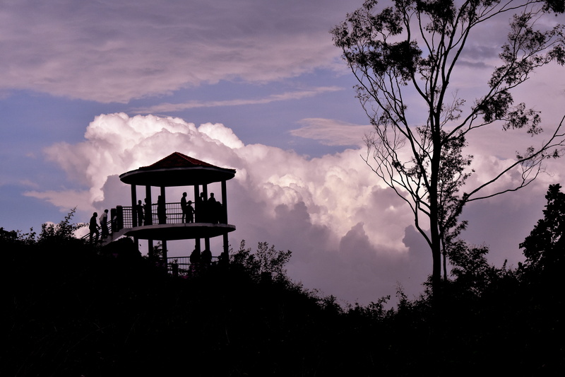 pagoda point road, observation point, silhoutte, safety, building exterior, hills, india, tranquility, day, silhouette, tree, trees, yercaud, mountains