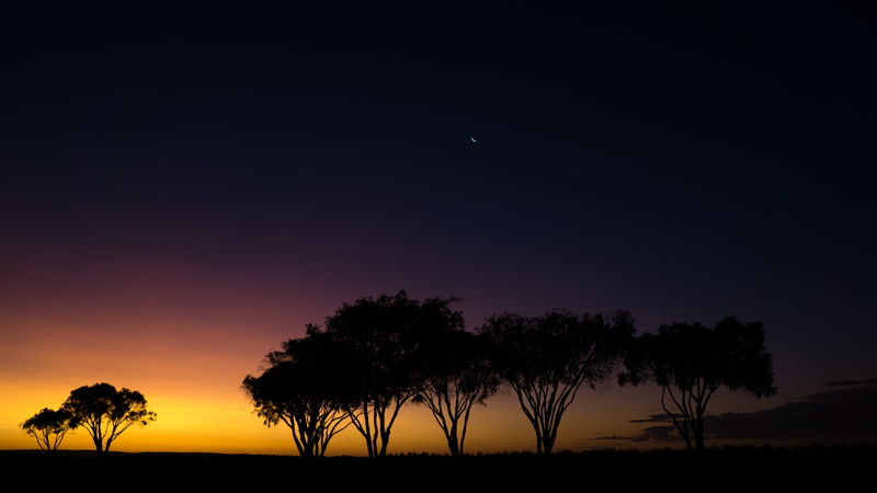 seven, bussleton, 5K, nighttime, field, tranquility, beauty in nature, silhouette, moon, land, open, landscape, outdoors, silhoutte, near, western australia