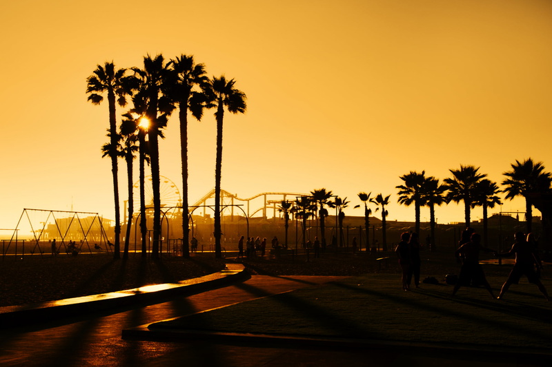 beauty in nature, coconut Palm Tree, Los Angeles, shadow, relaxation, sea, silhouette, Califonia, summer, land, Santa Monica, coastline, city Of Los Angeles