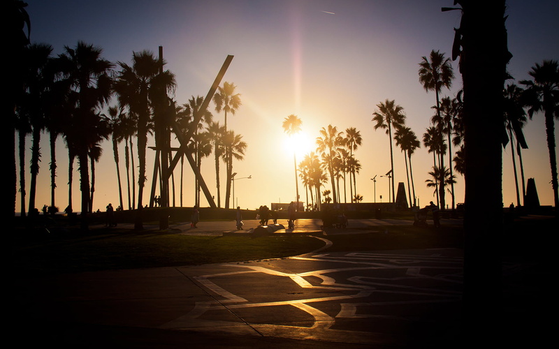 tourist Resort, sunlight, vacations, california, beach, idyllic, sunbeam, plant, relaxation, travel Destinations, coconut palm tree, lot, tourism, back Lit