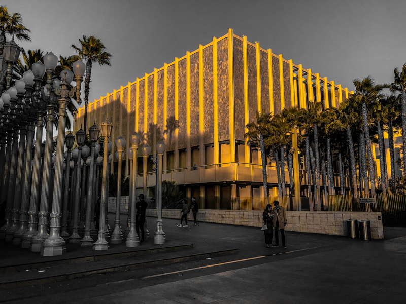 sky, people, nature, real people, mode of transportation, lacma, los angeles, outdoors, travel, street, united states, group of people, tree, city, bicycle