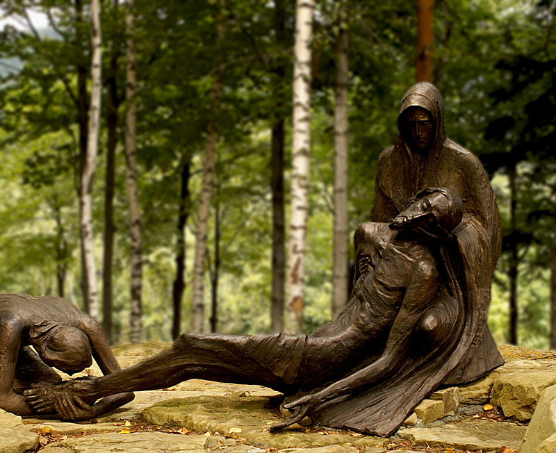 plant, christ, the passion, death, figure, mood, rainforest, statue, beauty in nature, tree, man, experience, travel destinations, forest, day, the mystery of the