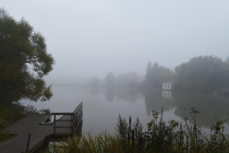 fog, river, nature, tree, morning, hazy, no people, turku, tranquility, water, non-urban scene, tranquil scene, built structure, day, lake, sky, aura river