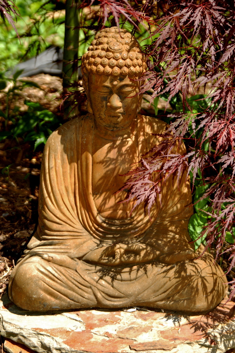 meditate, wisdom, praying, history, oriental, no people, sculpture, Buddha, representation, religion, human representation, asia, plant part, outdoors
