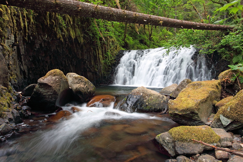 Columbia  River  Gorge, leaf, outdoors, flowing Water, Water  Fall, landscape, tropical Rainforest, 5K, freshness, forest, rock - Object, Canon  EOS  5D  Mark  II