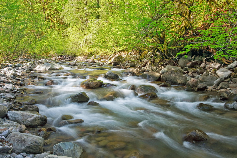Water, Trees, freshness, Canon  EOS  5D  Mark  II, 4L, USM, scenics, flowing, Light, Nature, Green, tree, flowing Water, Wilderness, rock - Object, River
