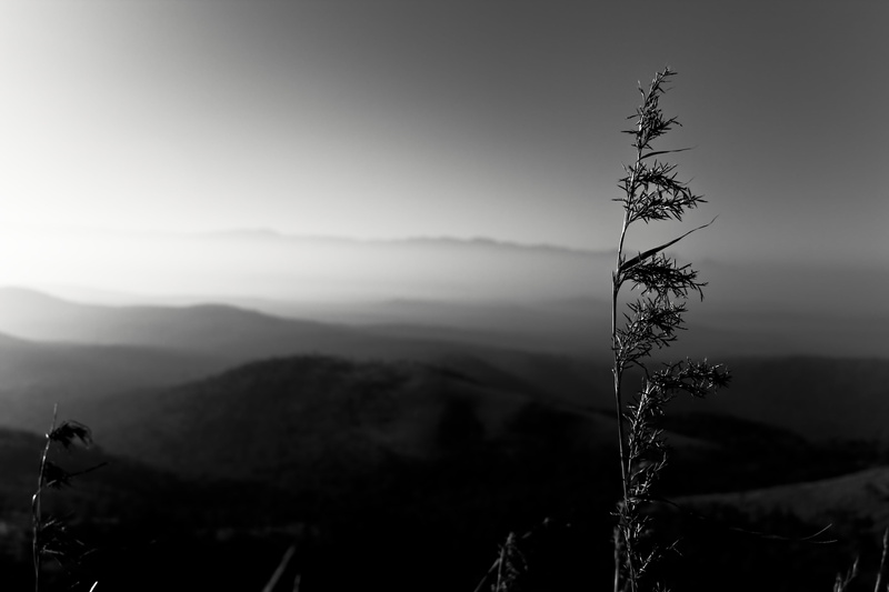 1000D, Mysore, Beta, Courage, grayscale, 70mm, Canon, Mountain, photography, Sunrise, sunset, Black and White, outdoors, Black  White, Fog, 4K, nature
