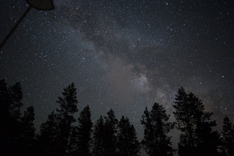 star, Tree, Stars, Milky Way, nature, photography, Long Exposure, constellation, dark, brown pine, Central Oregon, f/2.8, Canon EOS 6D, trees, Oregon, plenty
