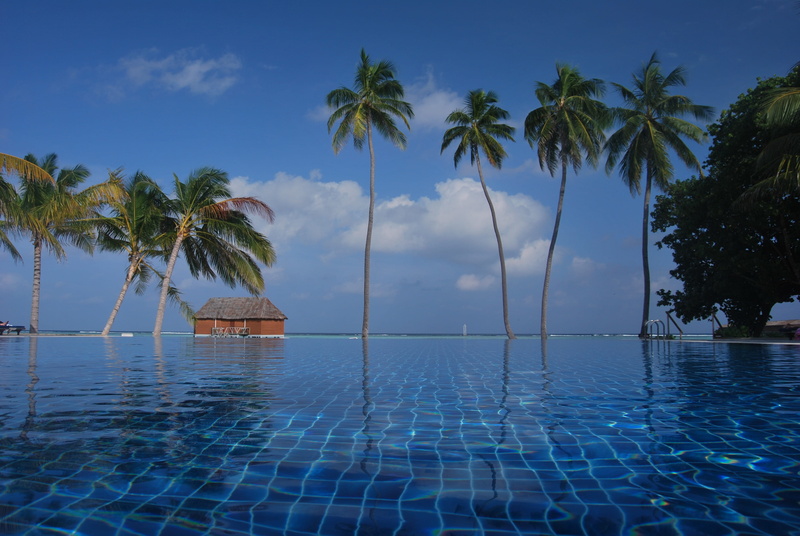 pool, sky, sea, trees, plant, infinity pool, water, island, palm, paradise, infinity, exotic, maldives, tranquil scene, tranquility, outdoors, scenics - nature