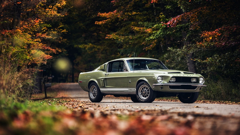 tree, 1968, ford, 1080P, plant, ford mustang, outdoors, ford mustang shelby gt500, muscle car, land, ford mustang shelby, vintage car, motor vehicle, land vehicle