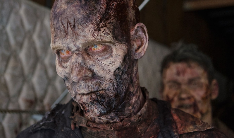 Andrea, Michonne, close-up, portrait, focus on foreground, Eugene Porter, Maggie Greene, nature, Daryl Dixon, wrinkled, Rick Grimes, adult, Rosita Espinosa