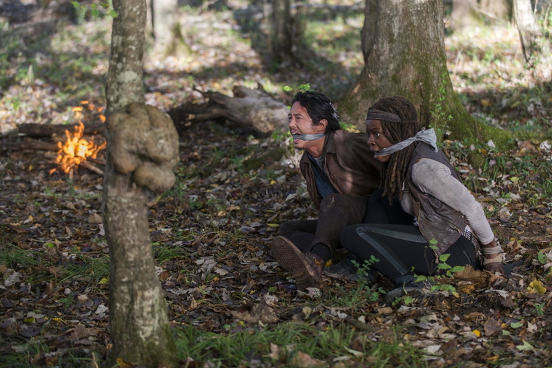 Steven Yeun, Michonne (The Walking Dead), The Walking Dead, Glenn Rhee, Danai Gurira, TV Show, 1080P