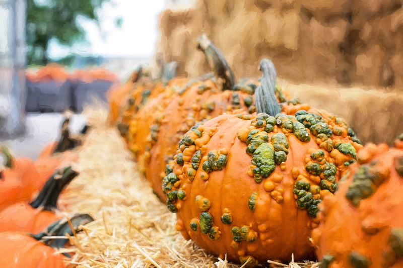 seasonal, 5K, focus on foreground, hay, vegetarian food, no people, gourd, decoration, orange, vegetable, ripe, orange Color, harvesting, autumn background