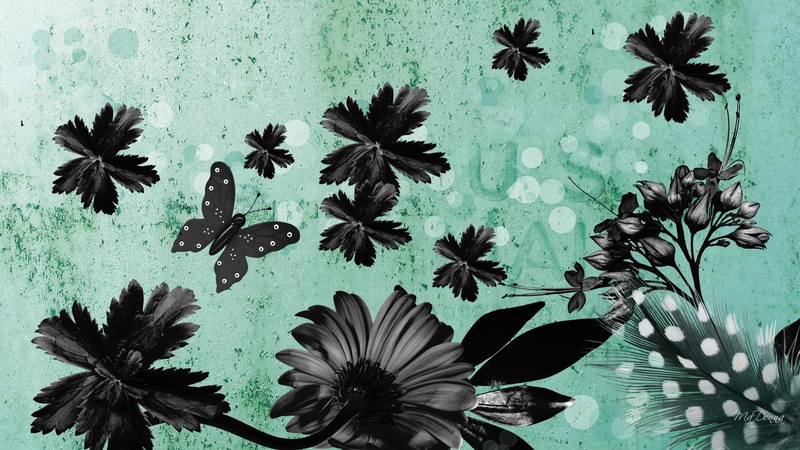 feathers, cyan, firefox persona, flowers, darkness, butterfly, grunge, goth, 3d and abstract, 1080P, gothic, dark