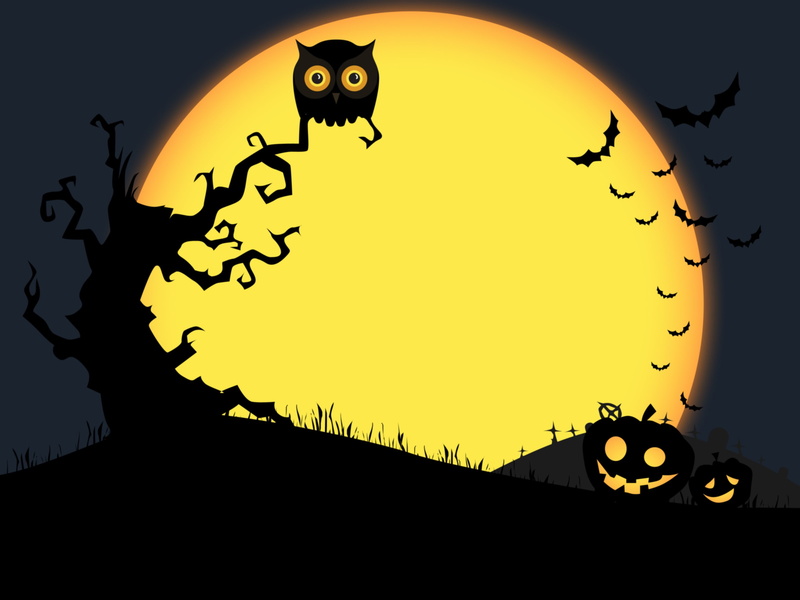 nature, orange color, illustration, night, shape, outdoors, animal, sunset, owl, animal representation, animal themes, circle, 2K, creativity, Halloween