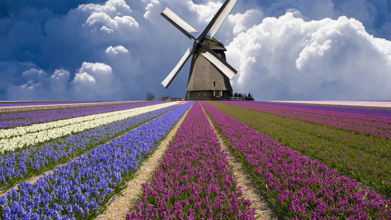 windmill, nature, 1080P, Netherlands