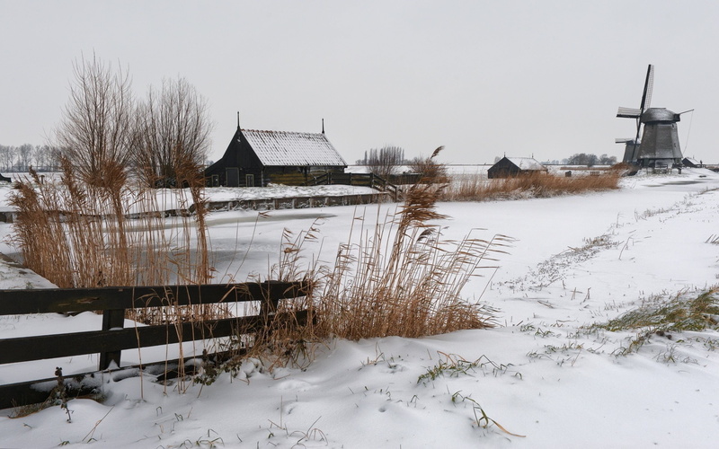 building exterior, tree, windmill, plant, winter, water, cold temperature, architecture, landscape, outdoors, built structure, leafed, building, Russia