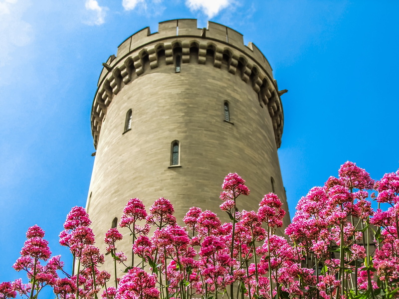 day, low angle view, built structure, pink, blue, flowers, 4K, low, travel destinations, sky, architecture, plant, beauty in nature, tower, outdoors, building exterior