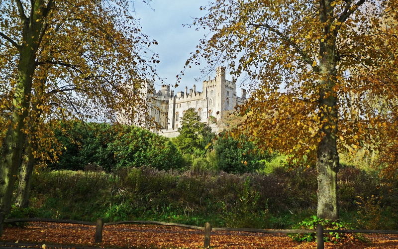1080P, tranquility, arundel castle, no people, outdoors, tree, nature, growth, autumn, land, green color, built structure, plant, beauty in nature, sky