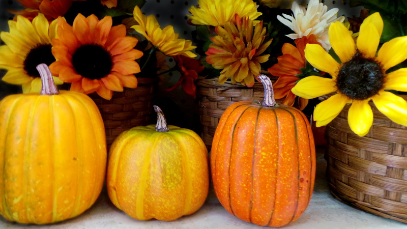 pumkin, still life, no people, pumpkins, flower, market, decoration, table, october, wellbeing, halloween, healthy eating, nature, halloween pumpkin, close-up