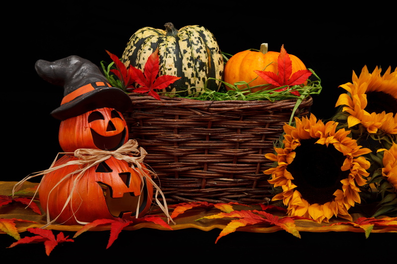 decors, orange, multi colored, pumpkin, basket, night, still life, 4K, leaf, black, container, food, black background, flower head, spooky, lantern, season