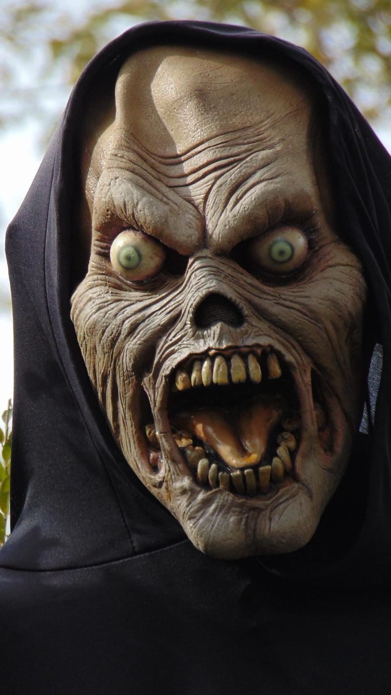 mouth, representation, portrait, animal wildlife, Costume, animal body part, art and craft, focus on foreground, spooky, close-up, animal head, horror