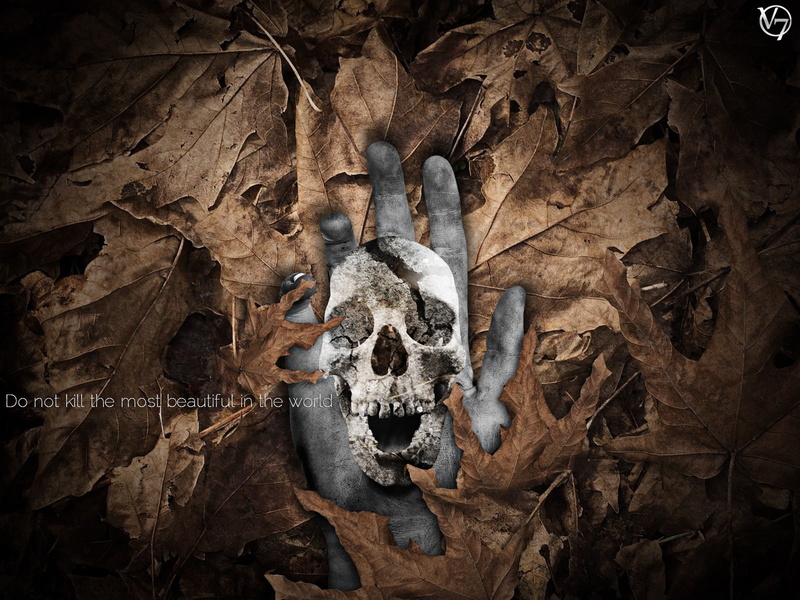 dark, animal skull, evil, Photoshop, brown, old, 720P, no people, print, day, close-up, forest, skull, architecture, human skeleton, horror