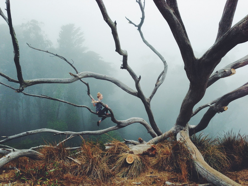 mist, plants, one person, day, leisure activity, model, dead plant, growth, trunk, full length, plant, real people, branch, forest, nature, outdoors, women outdoors