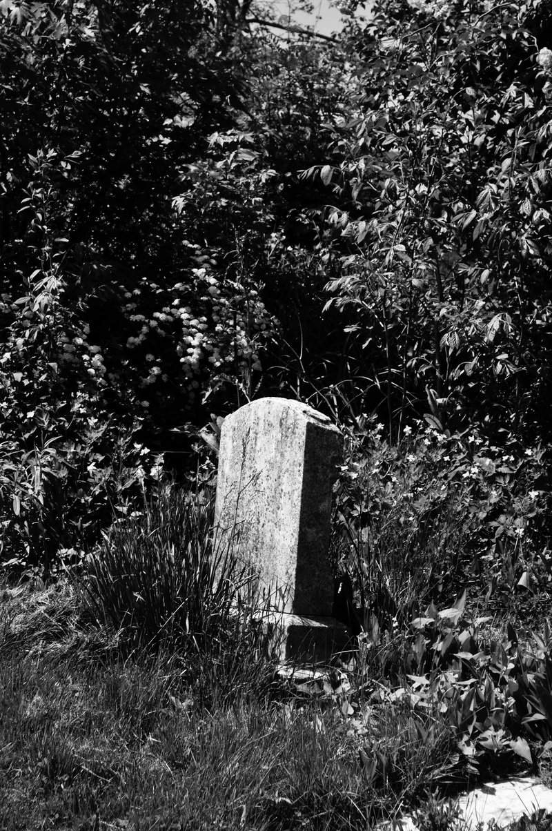 day, forgotten, black and white, maine, land, plant, tree, wild, woodbine avenue, sadness, lost, architecture, united states, no people, 4K, grave stone
