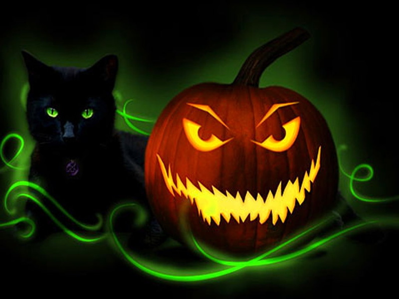 hd, 480P, happy, cat, pumkin, art, abstract, holloween, fantasy