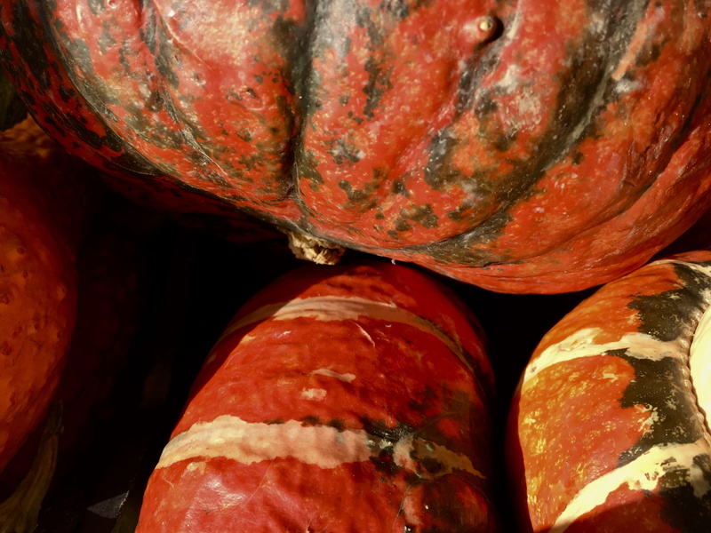 wellbeing, old town, decoration, vegetarian food, healthy eating, organic, indoors, orange, vegetable, iphonephotography, day, close-up, ripe, stack, decor
