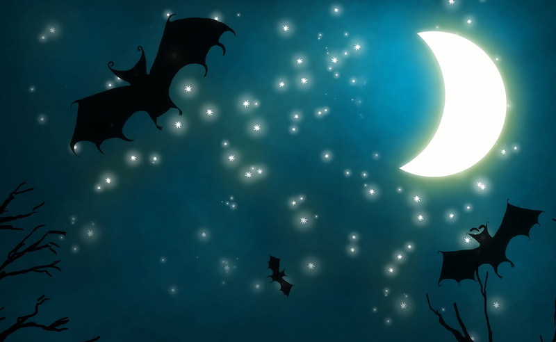 illuminated, animal wildlife, bat, animal themes, mid-air, group of animals, animal, vertebrate, flying, Night, silhouette, nature, bats, sky, Holidays