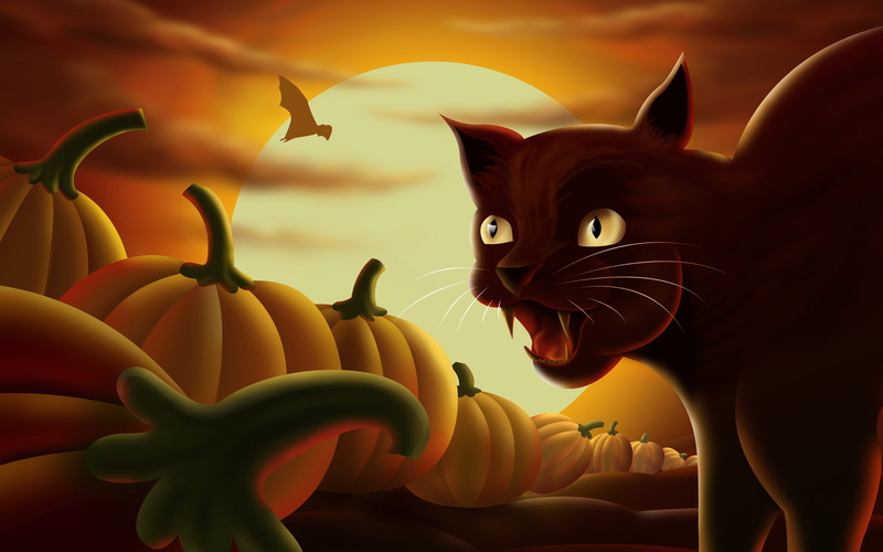 halloween, pumpkin, cat, 1080P, lantern, legend, holidays, bat, illustration