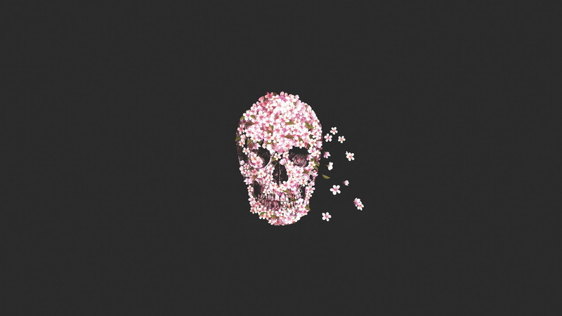 copy space, vector, shape, flowers, illuminated, creativity, food and drink, illustration, human Face, studio shot, glamour, freshness, food, calavera