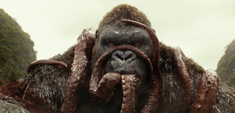 kong, aventuras, calavera, isla, pelicula, ficcion, drama, ciencia, 1080P