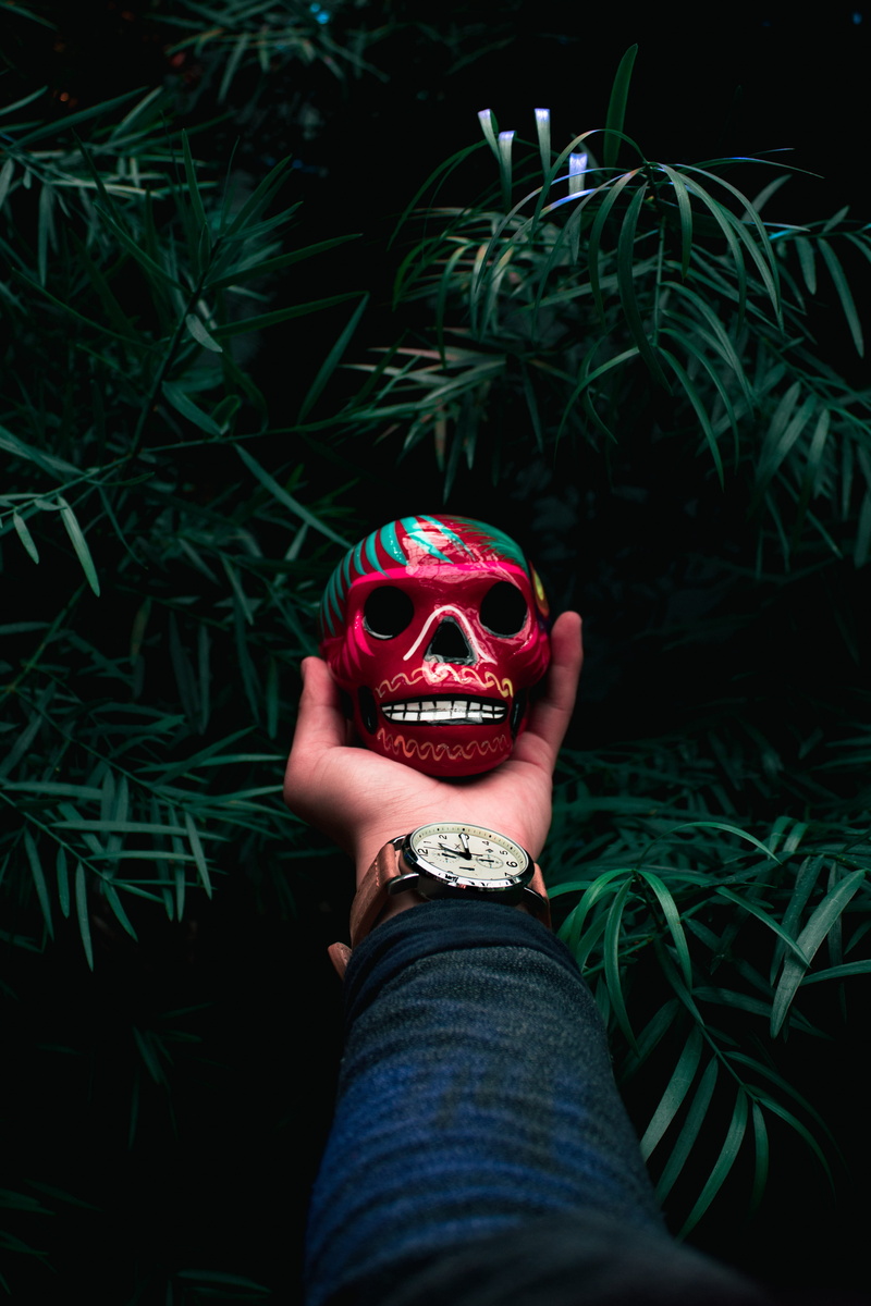 human hand, bauble, red, mexico, figurine, green color, unrecognizable person, obscured face, plant, fear, dia de los muertos, leisure activity, human skeleton