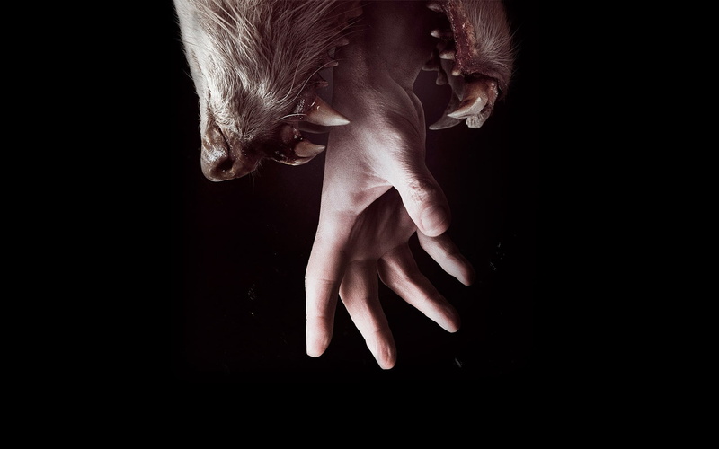 finger, studio shot, unrecognizable person, low section, human hand, copy space, teeth, digital composite, young women, horror, indoors, 1080P, body part