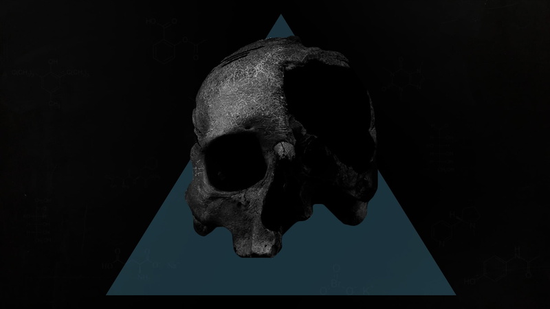 1080P, indoors, animal head, skull, illustration, still life, representation, minimalism, human skeleton, human, spooky, animal body part, no people, bone