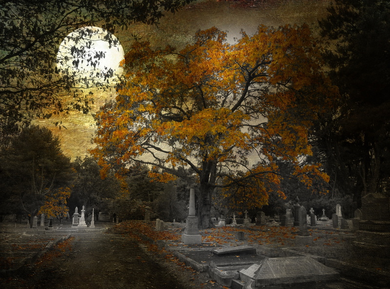 capital, autumn collection, Fall, no people, plant part, Graveyard, nature, Moon, creativephotocafe, tombstone, park, architecture, fairfield, plant, leaf