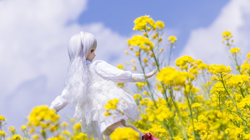 yellow, puppets, standing, day, toys, fragility, plant, springtime, women, outdoors, beauty in nature, vulnerability, flower head, growth, 1080P, nature