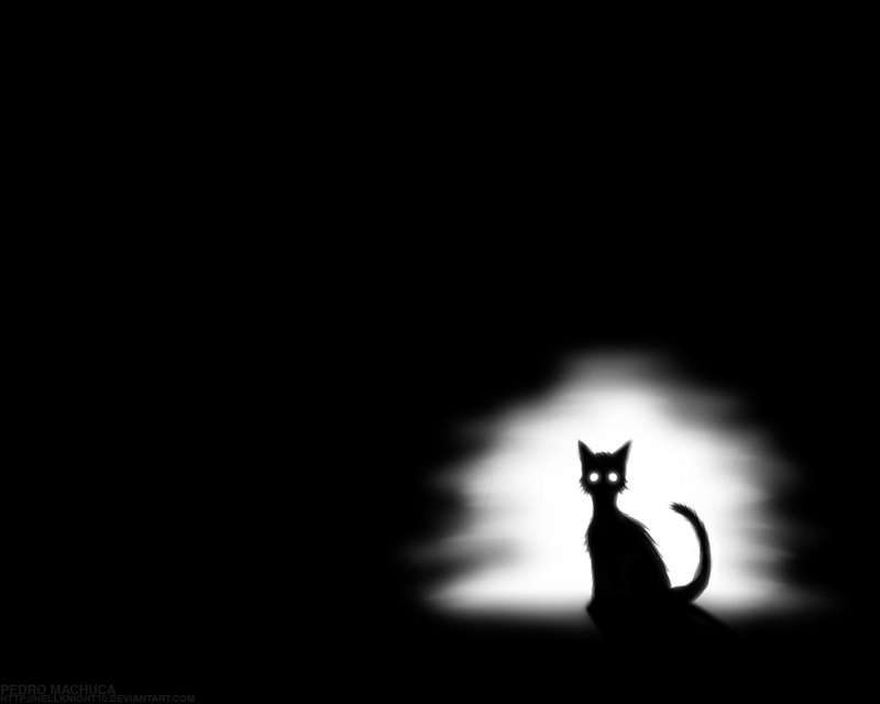 cat, animals, 720P, hd, white, alone, lonely, black, spooky