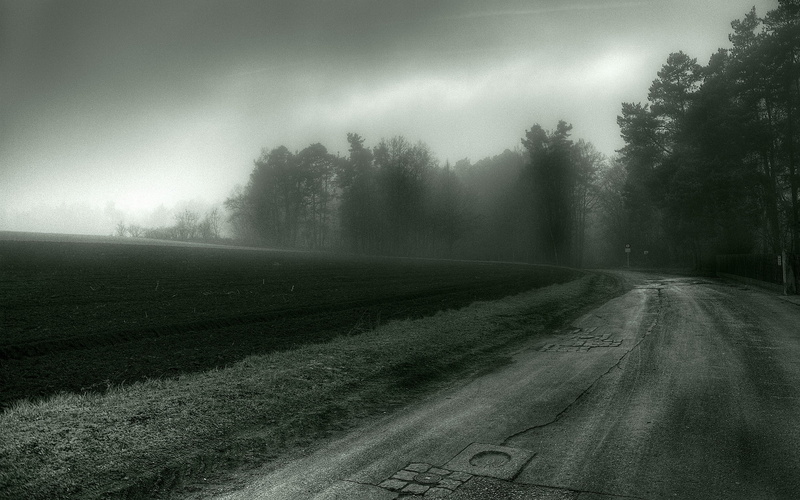 mist, 2K, spooky, trees, road
