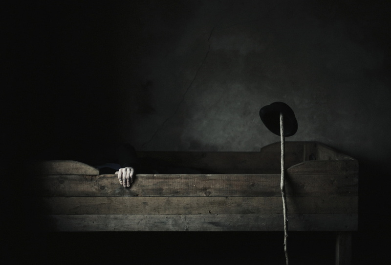 indoors, built structure, nature, wood - material, night, architecture, dark, spooky, one animal, pets, domestic, empty, hat, animal, bed, animal wildlife